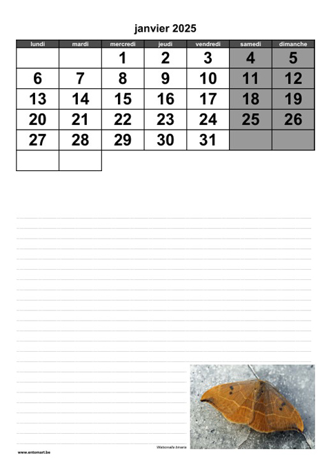 Calendrier 2023