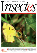 Insectes 171