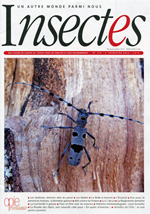 Insectes 173