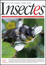 Insectes 177