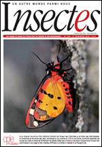 Insectes 180