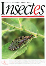Insectes 181