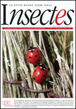 Insectes 182