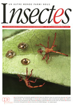Insectes 183