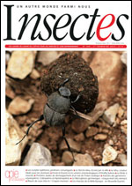 Insectes 184