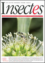 Insectes 185