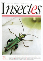 Insectes 186