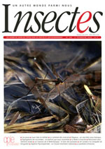 Insectes 186