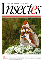 Insectes 186