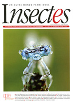 Insectes 191