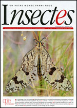 Insectes 192