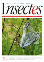 Insectes 193