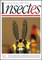 Insectes 194